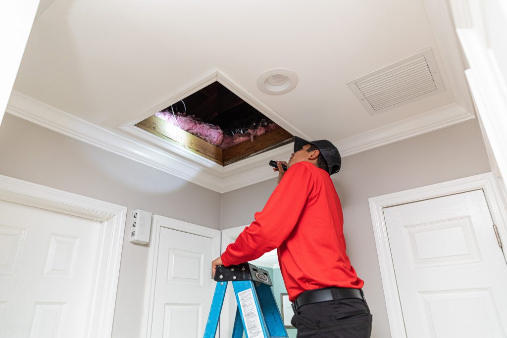 All 'U' Need Pest Control Technician Inspecting the Attic of a Clients' Home