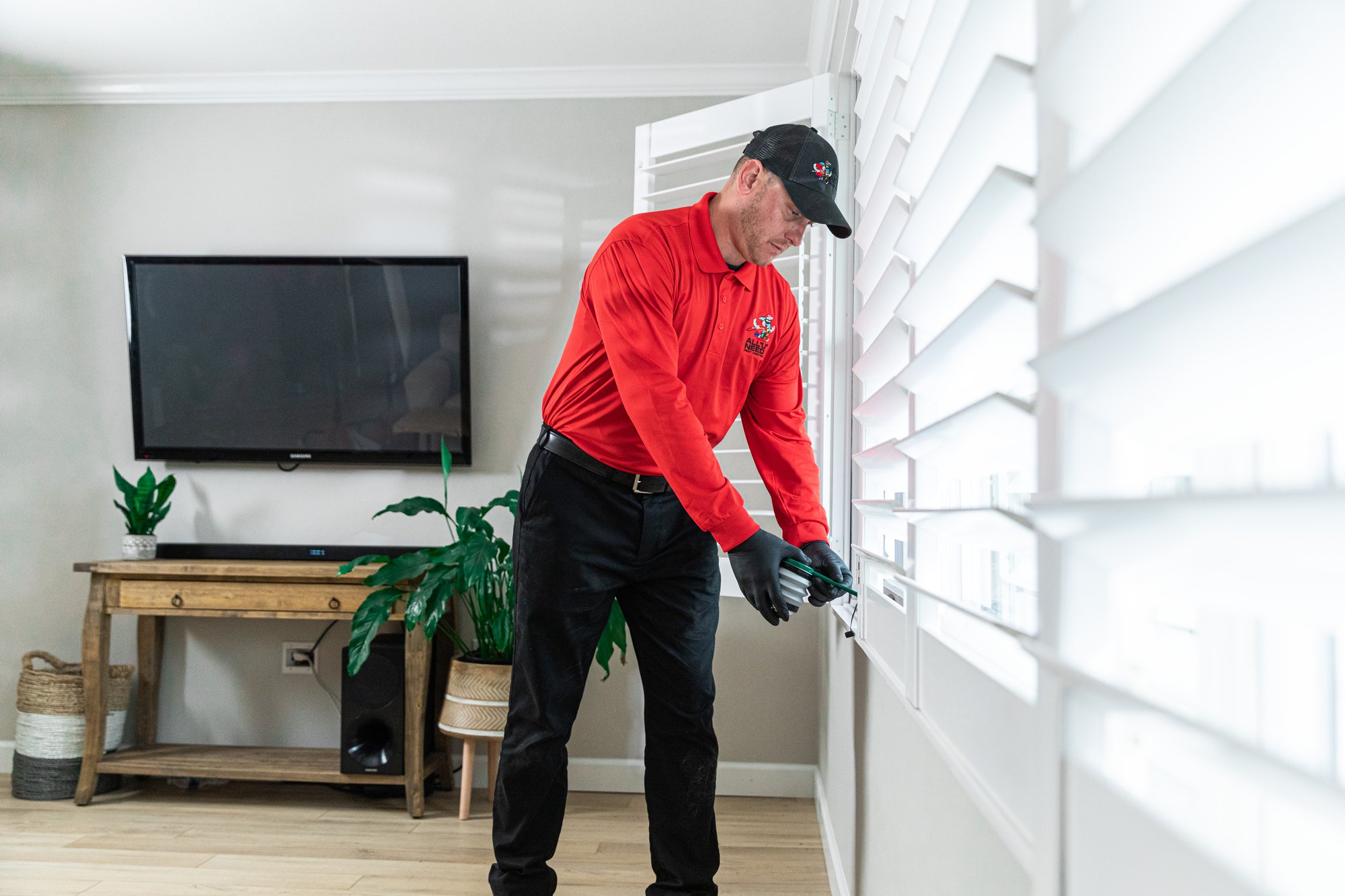 How to Get Rid of House Ants: Effective Ant Control Tips | All 