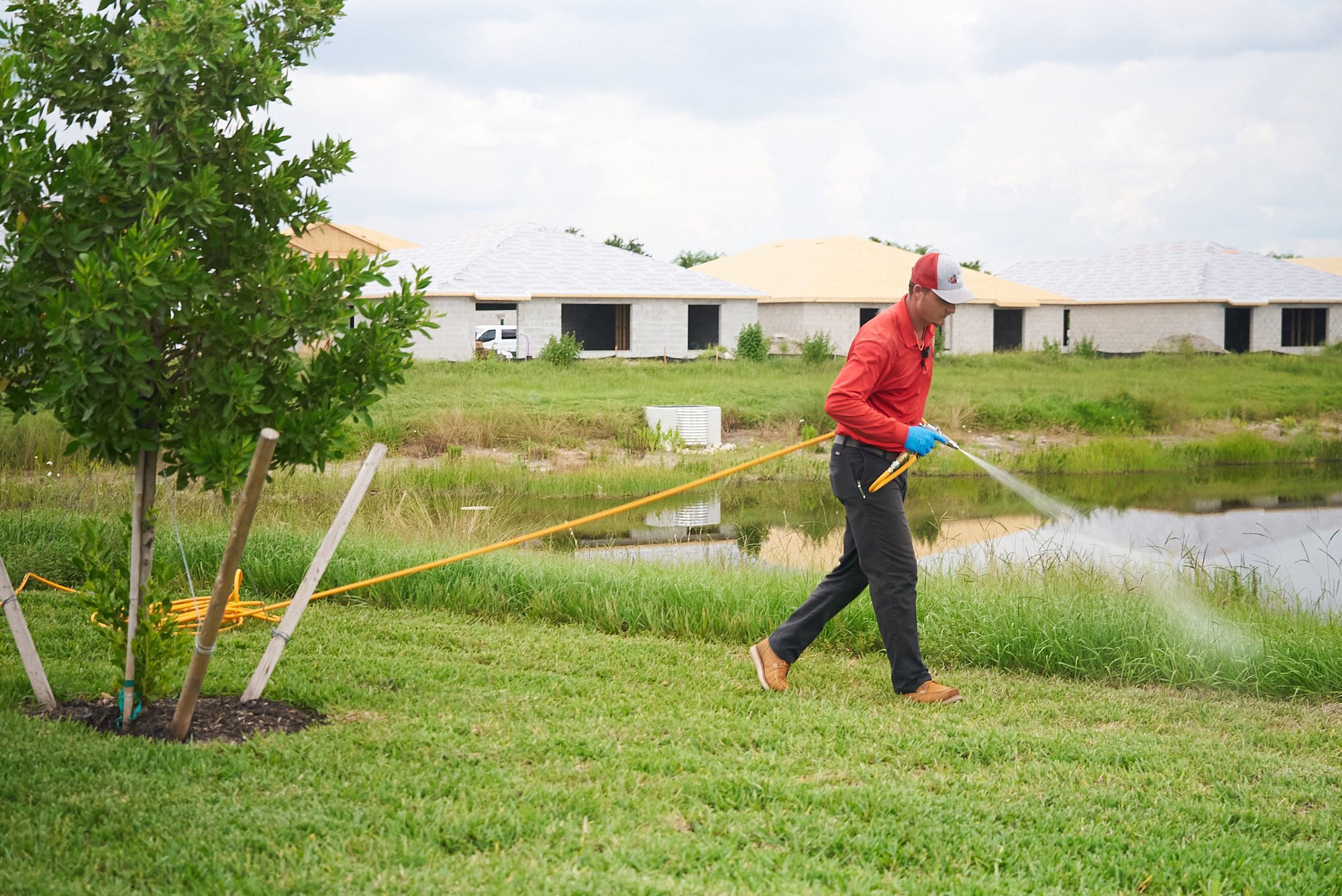 Earwigs in Jacksonville? What Should you do? All "U" Need Pest Control