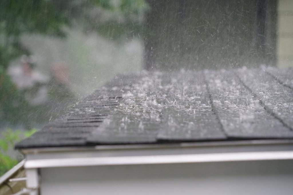 Rainy Season Home Preparation to Prevent Unwanted Pests cover