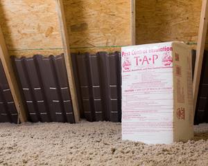 Insulation-Based Pest Prevention vs. Traditional Insulation: A Comprehensive Comparison cover
