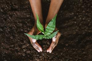 Celebrate Earth Day: Eco-Friendly, Pet-Safe Solutions for a Healthier Home cover