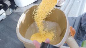 Granular Pest Control: A Ground-Level Defense for Your Home and Lawn cover
