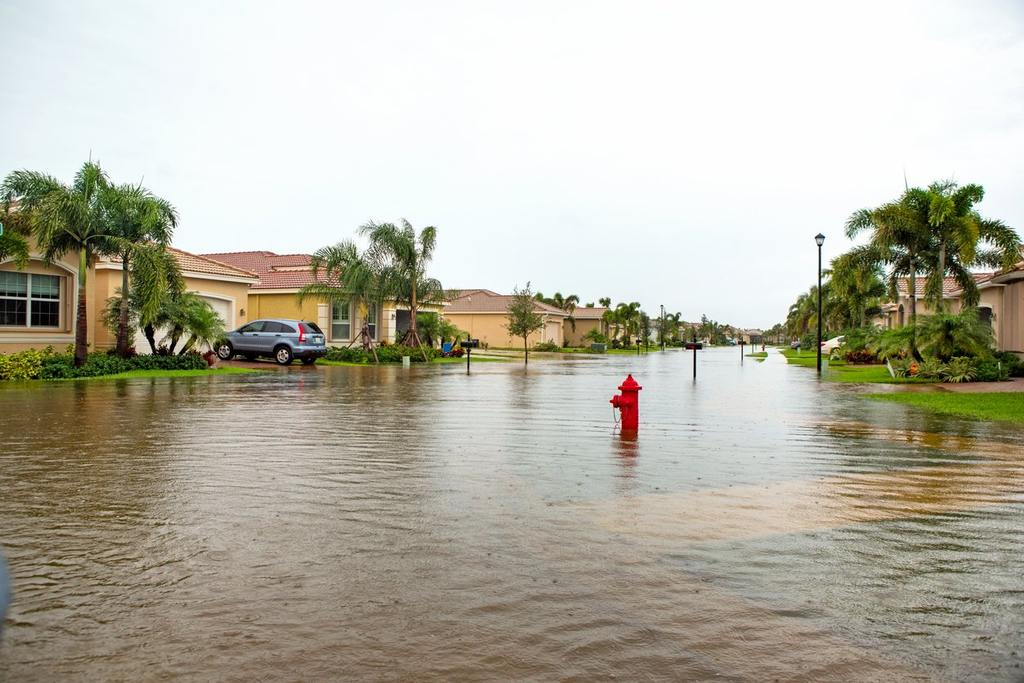 Florida Hurricane Season Pest Checklist by All U Need Pest Control cover