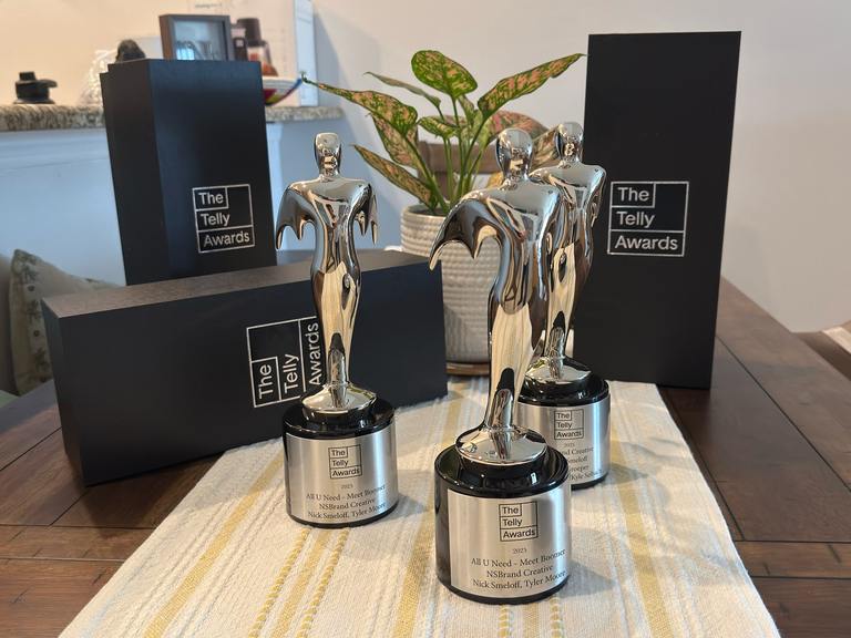 All U Need Pest Control Wins Big: 3 Silver Telly Awards! cover